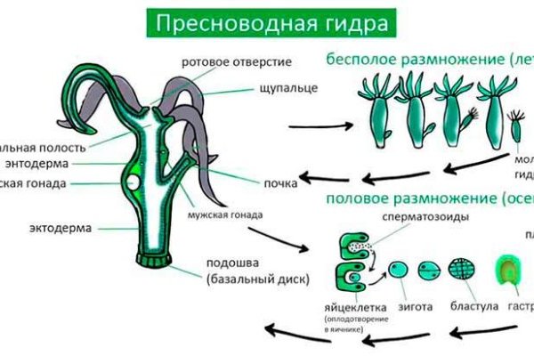 Действующие ссылки на кракен