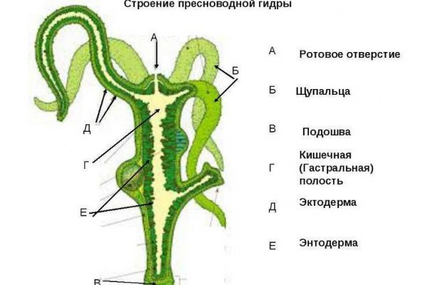 Кракен онион сайт io